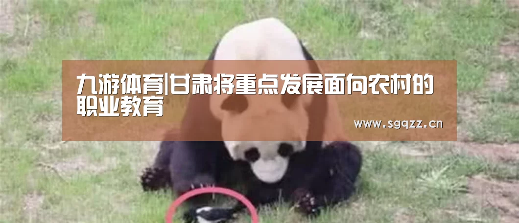 九游体育