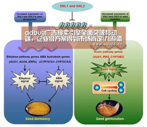 九游体育