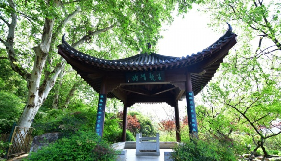 九游体育